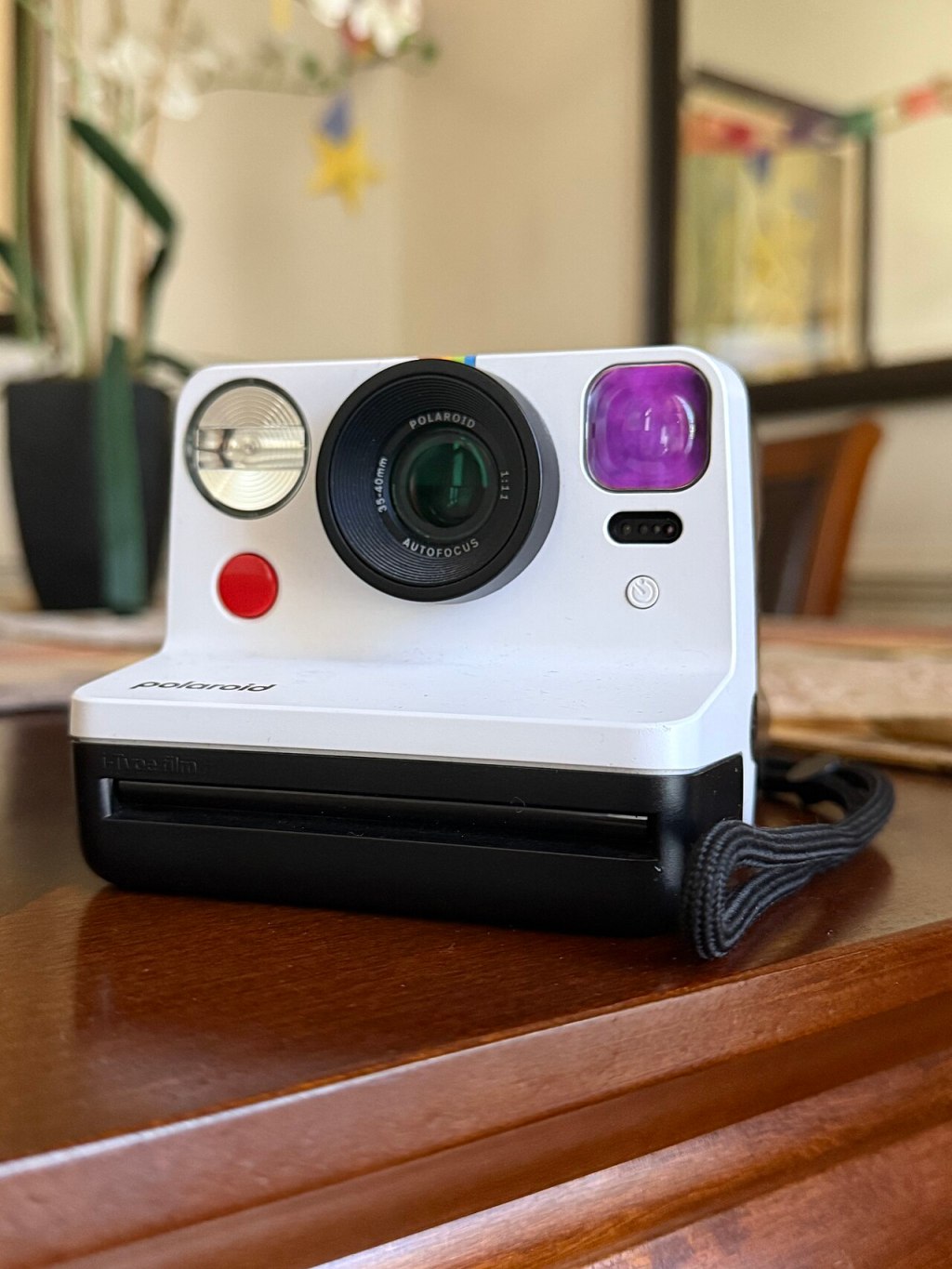 Fujifilm Instax Mini 12 vs Polaroid Now+ Gen 2: Instant Camera Face Off