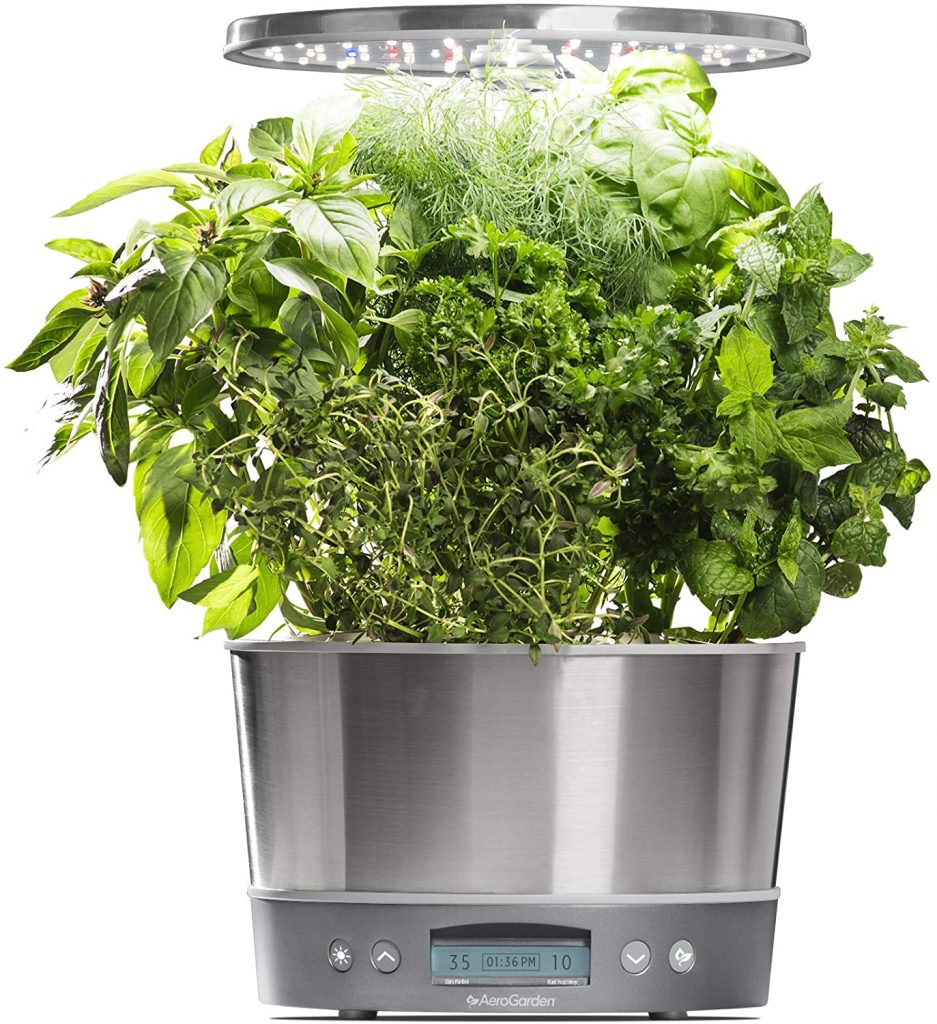AeroGarden Harvest Elite Review: Fresh Herbs on Your&nbsp;Countertop
