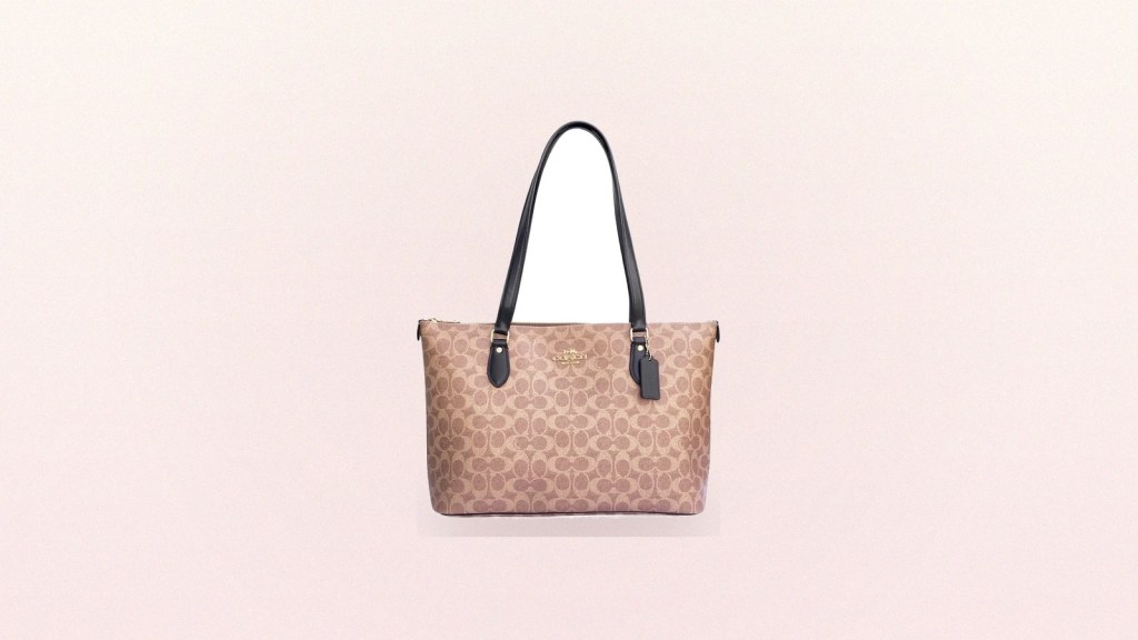 Michael Kors Jet Set vs Coach Gallery Tote: The Everyday Tote Showdown