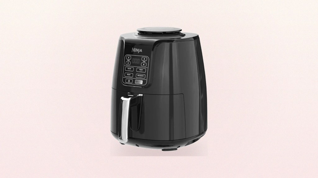 Ninja AF101 Air Fryer Review: The Budget Air Fryer to&nbsp;Beat